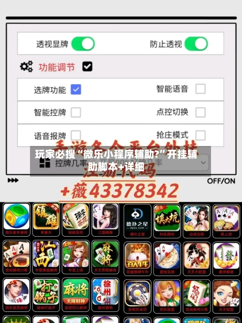 玩家必搜“微乐小程序辅助?	”开挂辅助脚本+详细-第2张图片