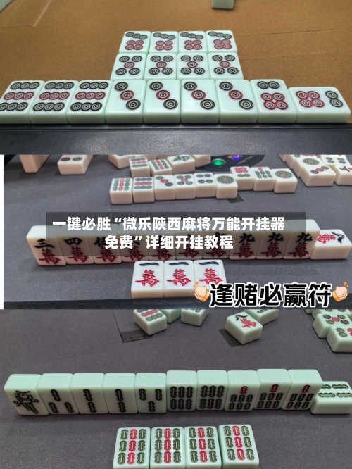 一键必胜“微乐陕西麻将万能开挂器免费”详细开挂教程-第1张图片