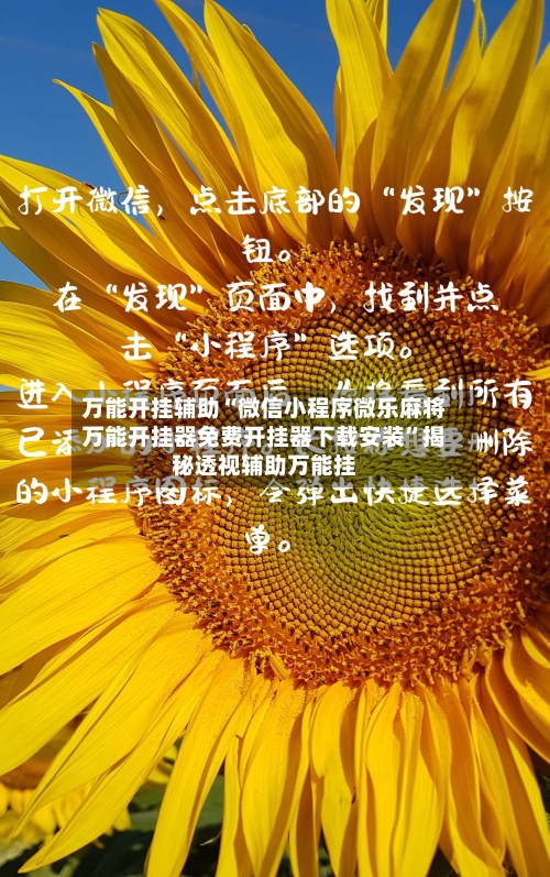 万能开挂辅助“微信小程序微乐麻将万能开挂器免费开挂器下载安装	”揭秘透视辅助万能挂-第2张图片