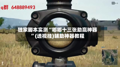 独家脚本实测“嘟嘟十三张助赢神器”(透视挂)辅助神器教程-第3张图片