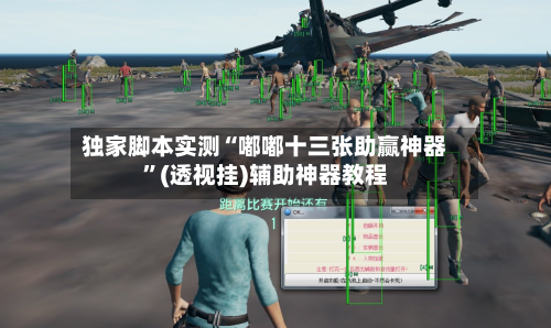 独家脚本实测“嘟嘟十三张助赢神器”(透视挂)辅助神器教程-第1张图片
