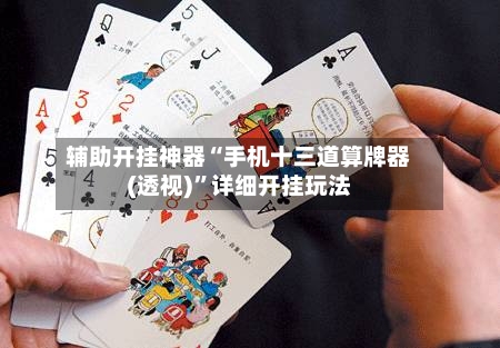 辅助开挂神器“手机十三道算牌器(透视)”详细开挂玩法-第3张图片