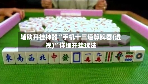 辅助开挂神器“手机十三道算牌器(透视)”详细开挂玩法-第1张图片