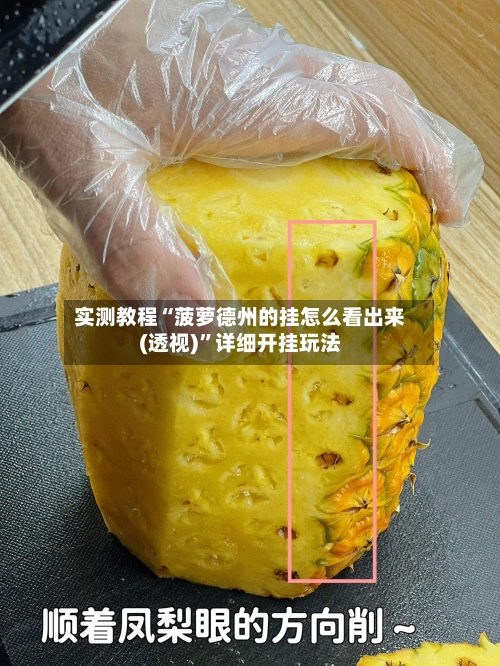 实测教程“菠萝德州的挂怎么看出来(透视)”详细开挂玩法-第1张图片