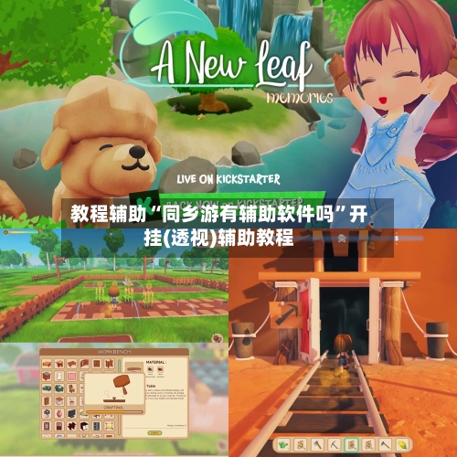 教程辅助“同乡游有辅助软件吗”开挂(透视)辅助教程-第2张图片