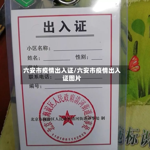 六安市疫情出入证/六安市疫情出入证图片-第3张图片