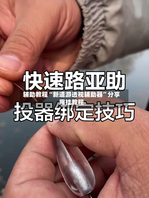 辅助教程“新道游透视辅助器”分享用挂教程-第1张图片