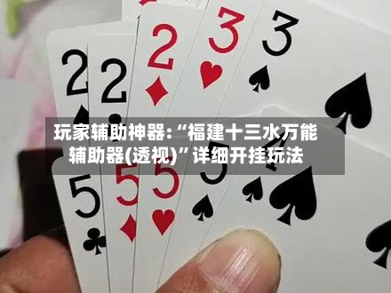 玩家辅助神器:“福建十三水万能辅助器(透视)”详细开挂玩法-第1张图片