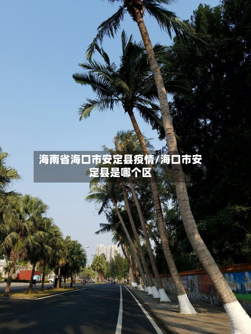 海南省海口市安定县疫情/海口市安定县是哪个区-第2张图片