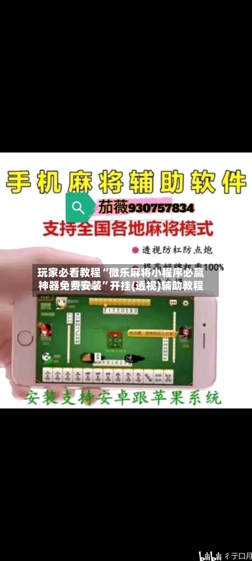 玩家必看教程“微乐麻将小程序必赢神器免费安装”开挂(透视)辅助教程-第3张图片