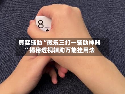 真实辅助“微乐三打一辅助神器	”揭秘透视辅助万能挂用法-第2张图片