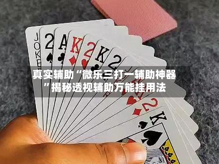 真实辅助“微乐三打一辅助神器”揭秘透视辅助万能挂用法-第3张图片