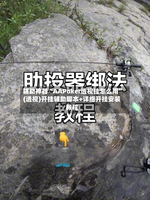 辅助神器“AAPoker透视挂怎么用”(透视)开挂辅助脚本+详细开挂安装教程-第3张图片