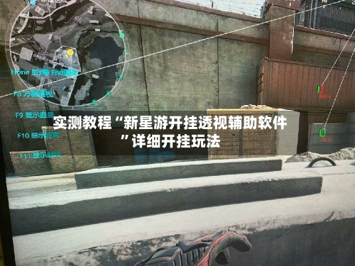 实测教程“新星游开挂透视辅助软件	”详细开挂玩法-第1张图片