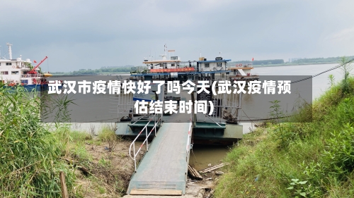武汉市疫情快好了吗今天(武汉疫情预估结束时间)-第2张图片