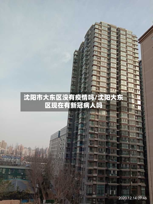 沈阳市大东区没有疫情吗/沈阳大东区现在有新冠病人吗-第1张图片