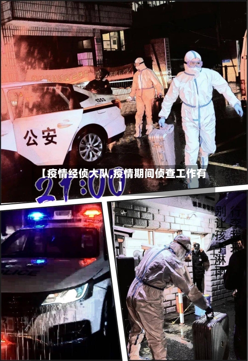 【疫情经侦大队,疫情期间侦查工作有】-第1张图片