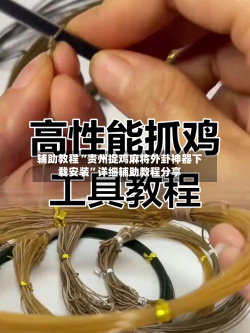 辅助教程“贵州捉鸡麻将外卦神器下载安装”详细辅助教程分享-第2张图片