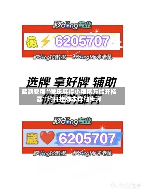 实测教程“微乐麻将小程序万能开挂器”附开挂脚本详细步骤-第2张图片