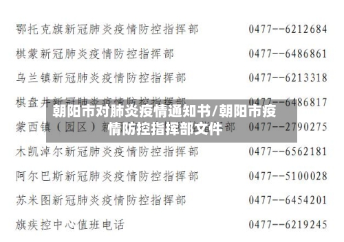 朝阳市对肺炎疫情通知书/朝阳市疫情防控指挥部文件-第2张图片