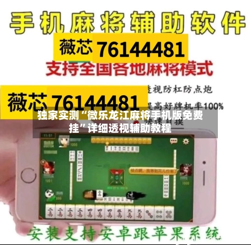 独家实测“微乐龙江麻将手机版免费挂”详细透视辅助教程-第3张图片