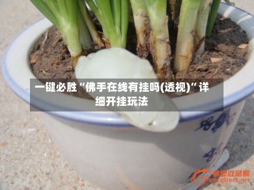 一键必胜“佛手在线有挂吗(透视)	”详细开挂玩法-第1张图片