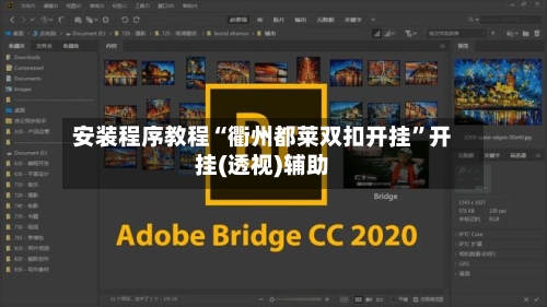 安装程序教程“衢州都莱双扣开挂”开挂(透视)辅助-第1张图片