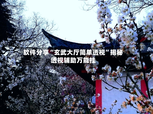 软件分享“玄武大厅简单透视”揭秘透视辅助万能挂-第3张图片