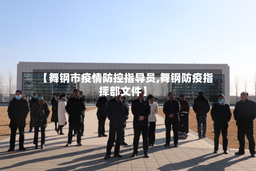 【舞钢市疫情防控指导员,舞钢防疫指挥部文件】-第1张图片