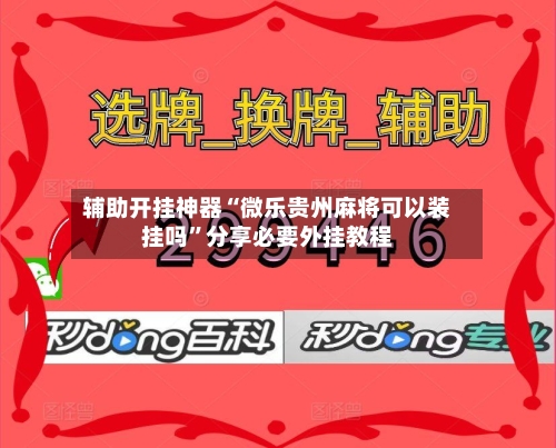 辅助开挂神器“微乐贵州麻将可以装挂吗”分享必要外挂教程-第2张图片