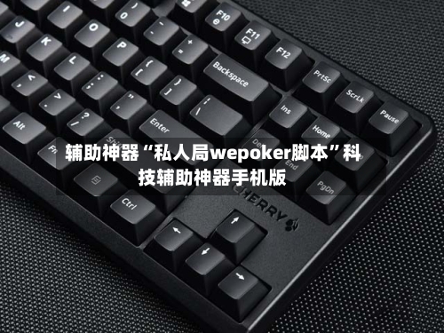 辅助神器“私人局wepoker脚本”科技辅助神器手机版-第2张图片