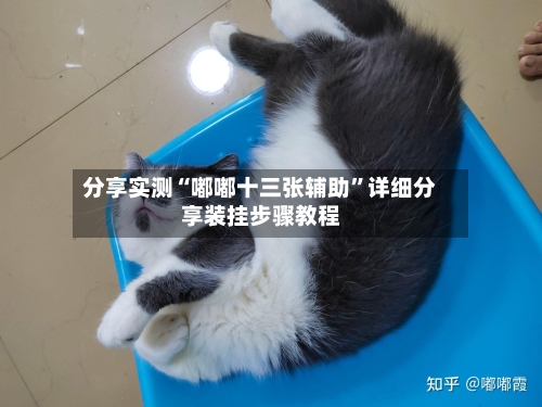 分享实测“嘟嘟十三张辅助”详细分享装挂步骤教程-第1张图片