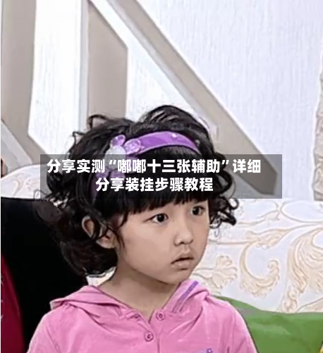 分享实测“嘟嘟十三张辅助	”详细分享装挂步骤教程-第2张图片