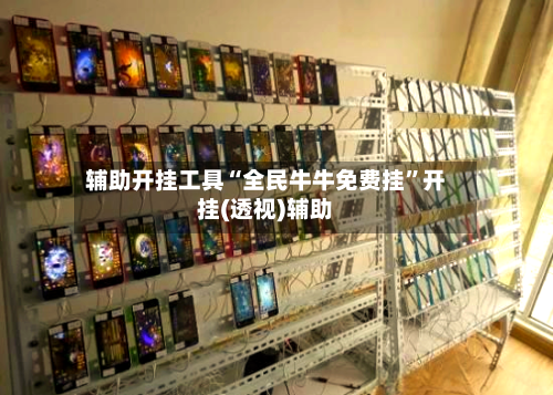 辅助开挂工具“全民牛牛免费挂”开挂(透视)辅助-第1张图片