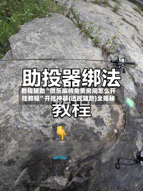 教程辅助“微乐麻将免费房间怎么开挂教程	”开挂神器{透视辅助}全揭秘-第1张图片