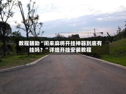 教程辅助“闲来麻将开挂神器到底有挂吗？	”详细开挂安装教程-第2张图片