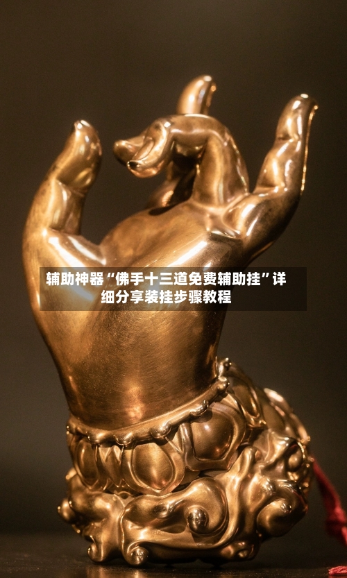 辅助神器“佛手十三道免费辅助挂	”详细分享装挂步骤教程-第1张图片